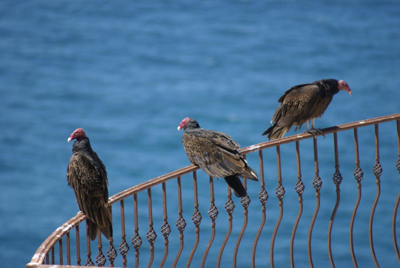 Casa Punta Vista Villa Cabo San Lucas Eksteriør billede